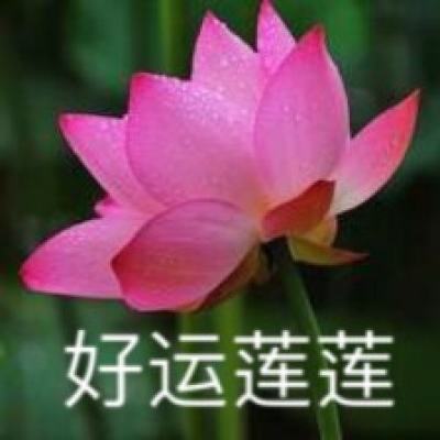 专访《玫瑰的故事》编剧李潇：黄亦玫不仅...